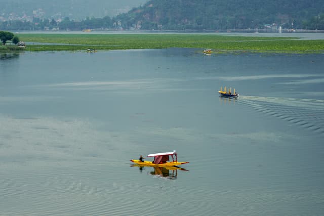Srinagar
