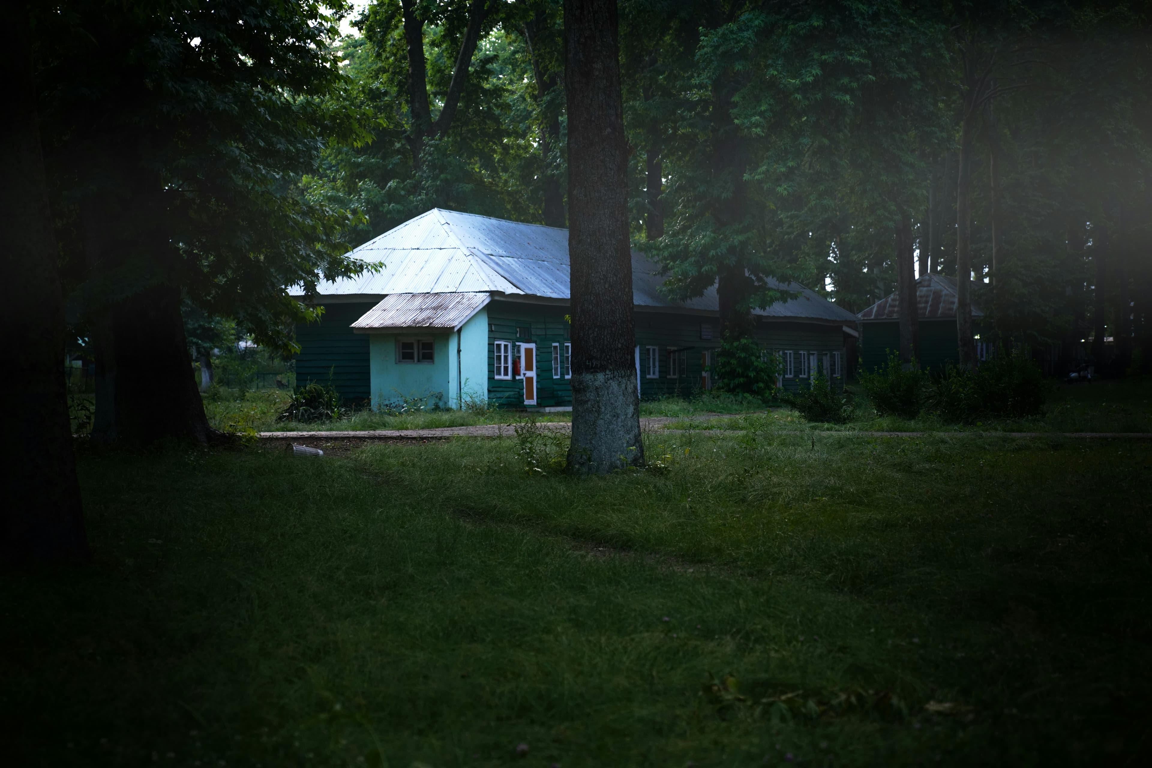 Kashmir Wildlife Safari